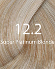 Eazicolor Super Platinum Blonde