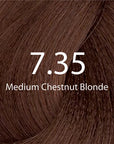 Eazicolor Medium Chestnut Blonde