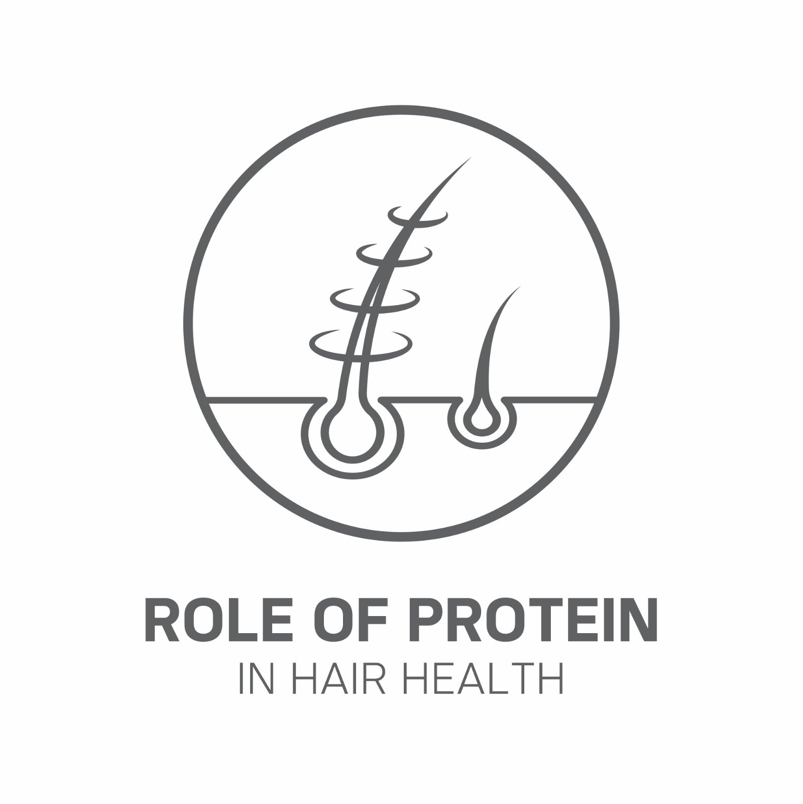 The role of protien in hair health
