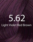 Eazicolor Light Violet Red Brown