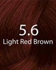 Eazicolor Light Red Brown