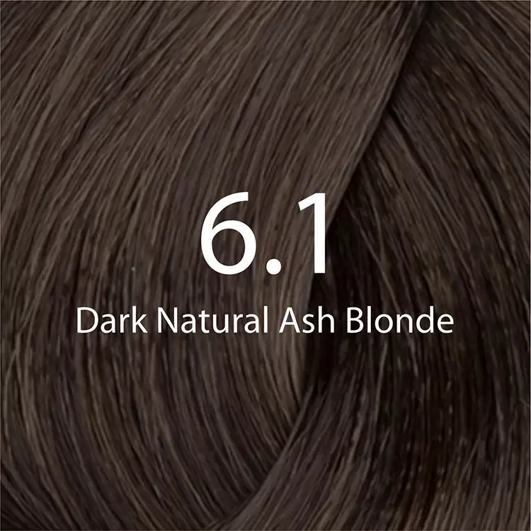 Eazicolor Dark Natural Ash Blonde