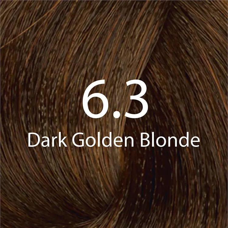 Eazicolor Dark Golden Blonde