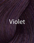 Eazicolor Violet